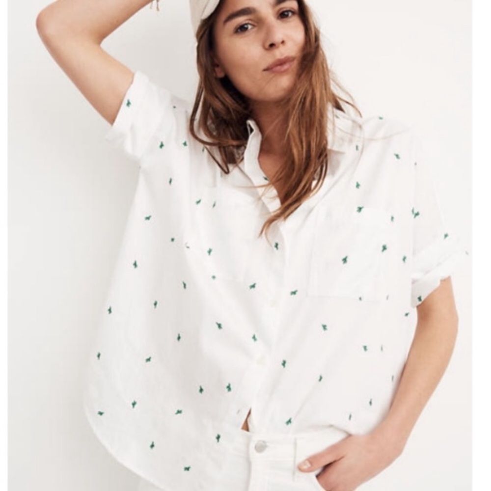 Madewell Embroidered Cactus Courier